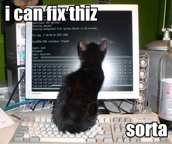 lolcats-1.jpg lolcats-1.jpg