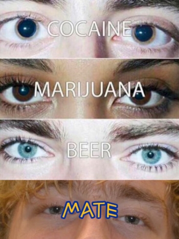 cocaine-marijuana-beer-mate.jpg