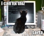 scraper:lolcats-1.jpg